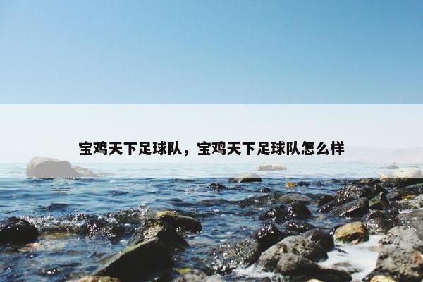 宝鸡天下足球队,宝鸡天下足球队怎么样 宝鸡天下足球队,宝鸡天下足球队怎么样