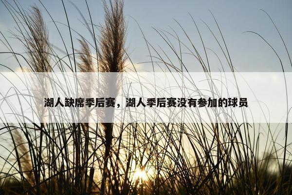 湖人缺席季后赛，湖人季后赛没有参加的球员