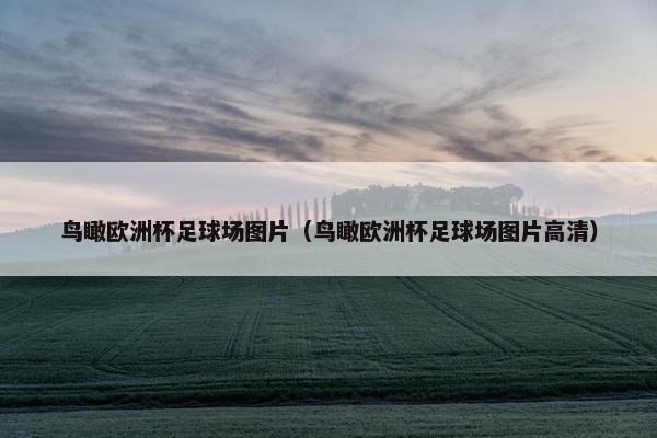 鸟瞰欧洲杯足球场图片（鸟瞰欧洲杯足球场图片高清）