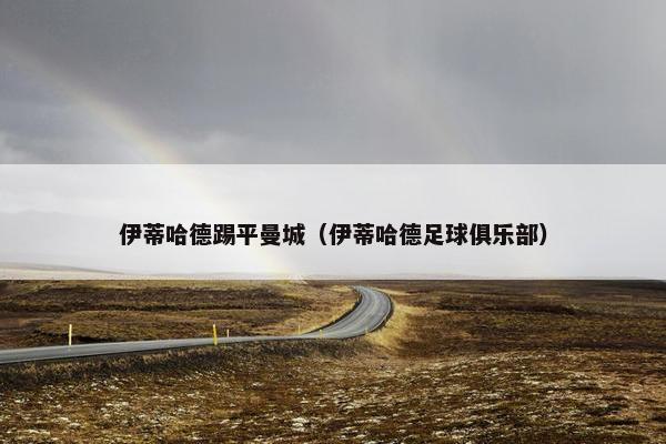 伊蒂哈德踢平曼城（伊蒂哈德足球俱乐部）