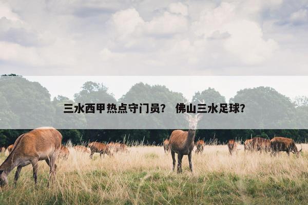三水西甲热点守门员？ 佛山三水足球？