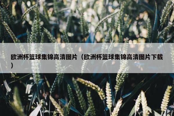 欧洲杯篮球集锦高清图片（欧洲杯篮球集锦高清图片下载）