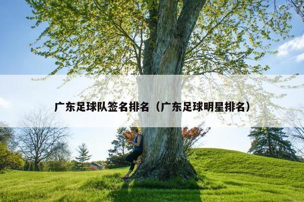 广东足球队签名排名（广东足球明星排名）