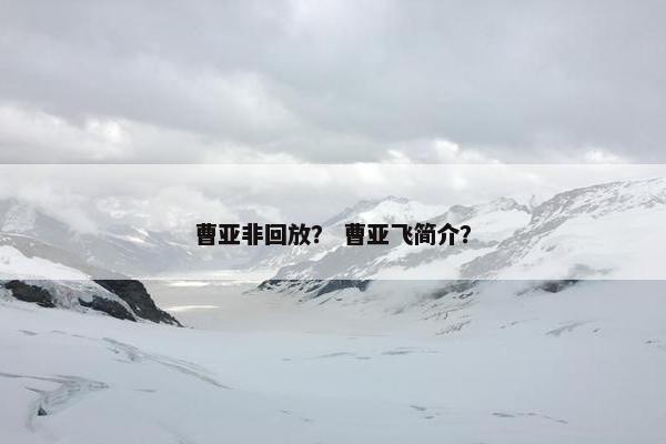 曹亚非回放？ 曹亚飞简介？