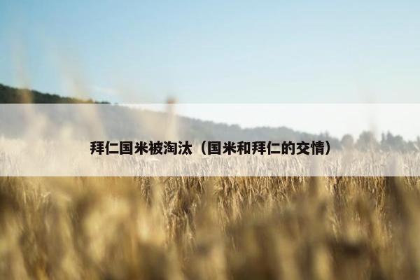 拜仁国米被淘汰（国米和拜仁的交情）