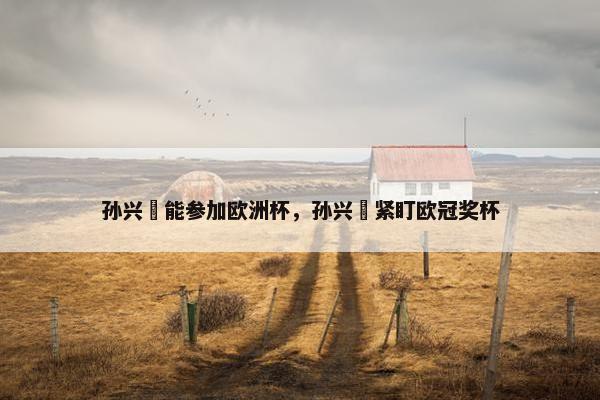 孙兴慜能参加欧洲杯，孙兴慜紧盯欧冠奖杯