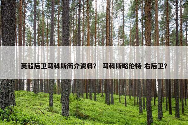 英超后卫马科斯简介资料？ 马科斯略伦特 右后卫？