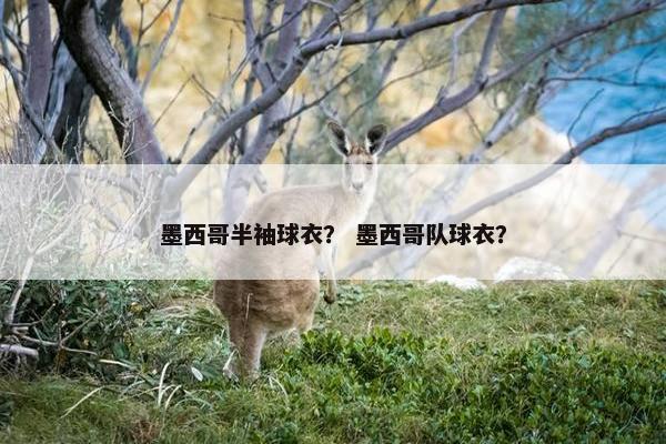 墨西哥半袖球衣？ 墨西哥队球衣？