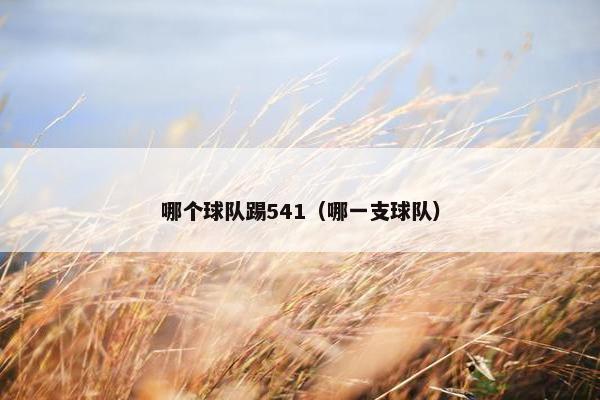 哪个球队踢541（哪一支球队）