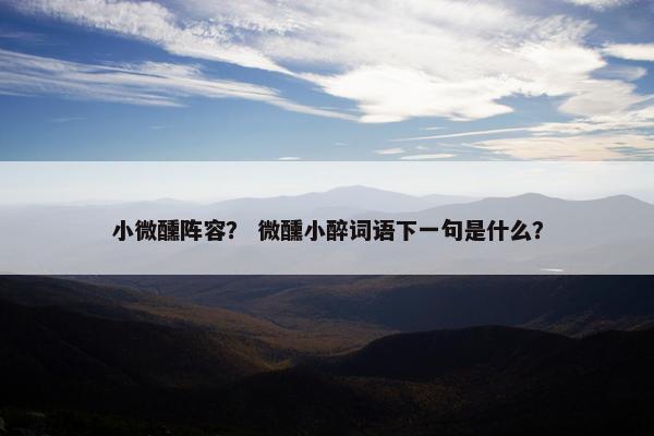 小微醺阵容？ 微醺小醉词语下一句是什么？