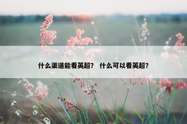 什么渠道能看英超？ 什么可以看英超？