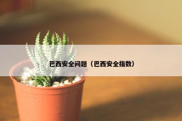 巴西安全问题（巴西安全指数）