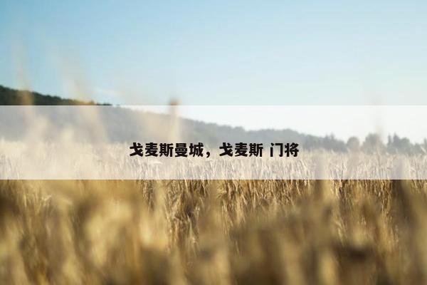 戈麦斯曼城，戈麦斯 门将