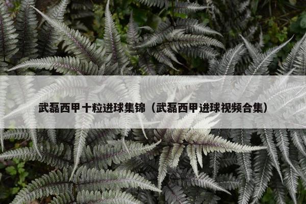武磊西甲十粒进球集锦（武磊西甲进球视频合集）