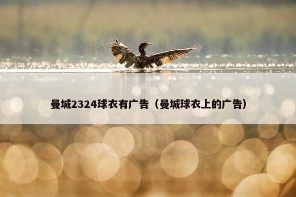 曼城2324球衣有广告（曼城球衣上的广告）