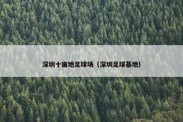 深圳十亩地足球场（深圳足球基地）
