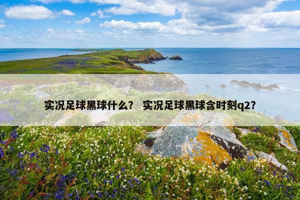 实况足球黑球什么？ 实况足球黑球含时刻q2？