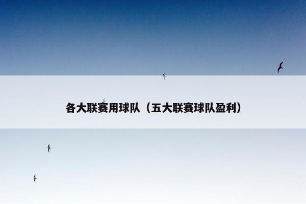 各大联赛用球队（五大联赛球队盈利）