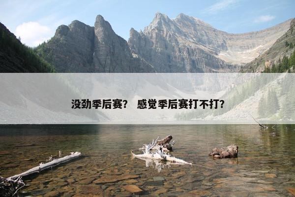 没劲季后赛？ 感觉季后赛打不打？