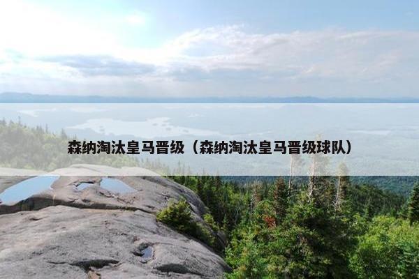 森纳淘汰皇马晋级（森纳淘汰皇马晋级球队）