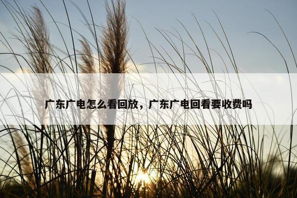 广东广电怎么看回放，广东广电回看要收费吗