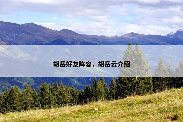 胡岳好友阵容，胡岳云介绍