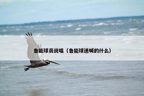 鲁能球员说唱（鲁能球迷喊的什么）