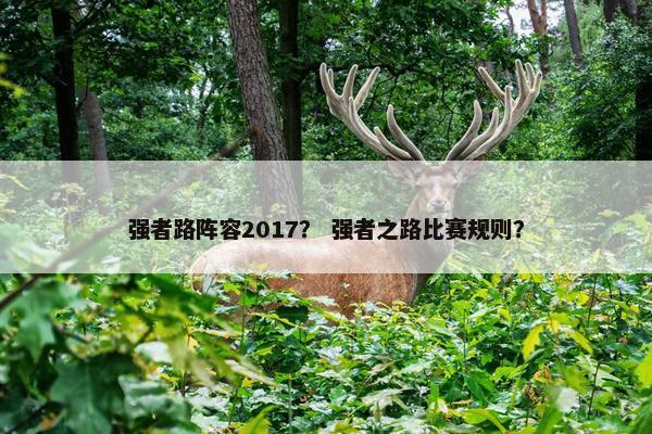 强者路阵容2017？ 强者之路比赛规则？