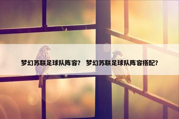 梦幻苏联足球队阵容？ 梦幻苏联足球队阵容搭配？