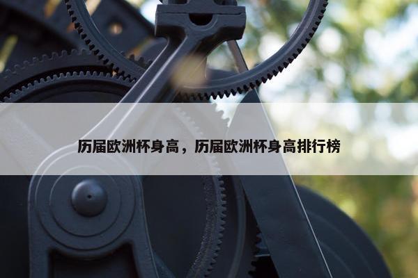 历届欧洲杯身高，历届欧洲杯身高排行榜