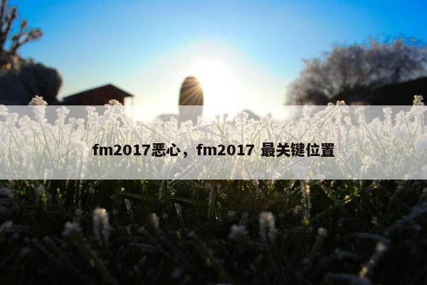 fm2017恶心，fm2017 最关键位置