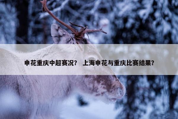 申花重庆中超赛况？ 上海申花与重庆比赛结果？