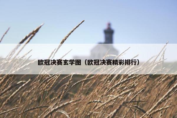 欧冠决赛玄学图（欧冠决赛精彩排行）