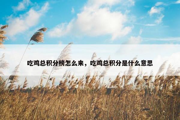 吃鸡总积分榜怎么来，吃鸡总积分是什么意思
