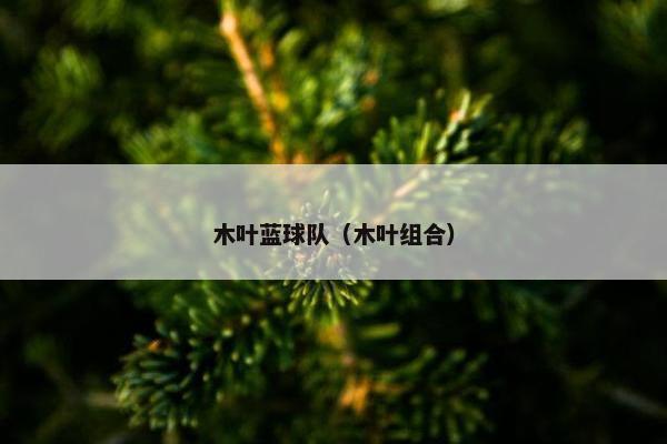 木叶蓝球队（木叶组合）