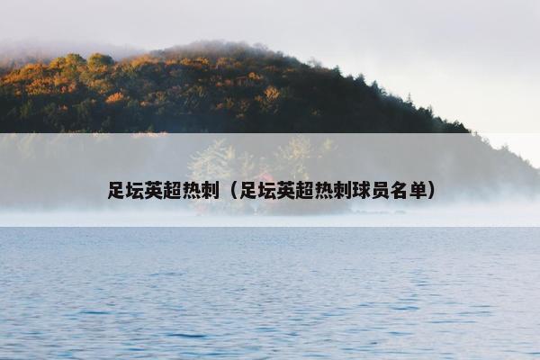 足坛英超热刺（足坛英超热刺球员名单）