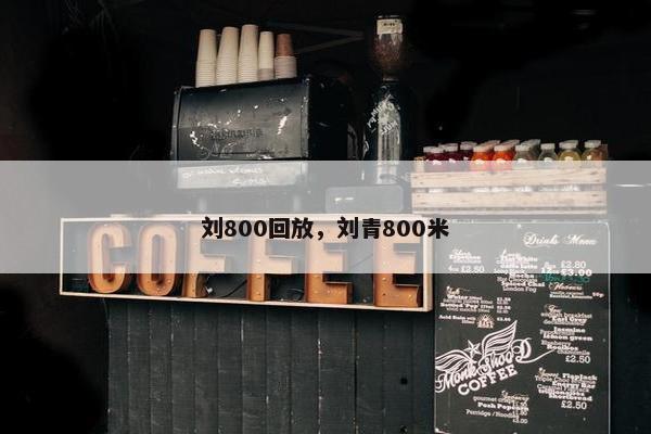 刘800回放，刘青800米
