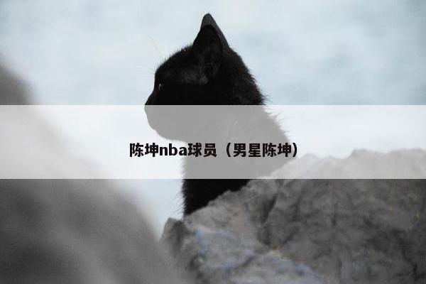 陈坤nba球员（男星陈坤）