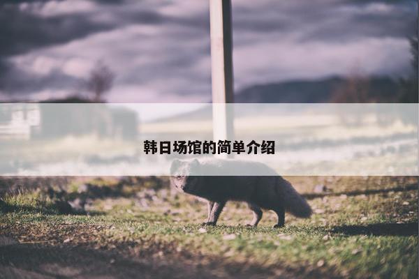 韩日场馆的简单介绍