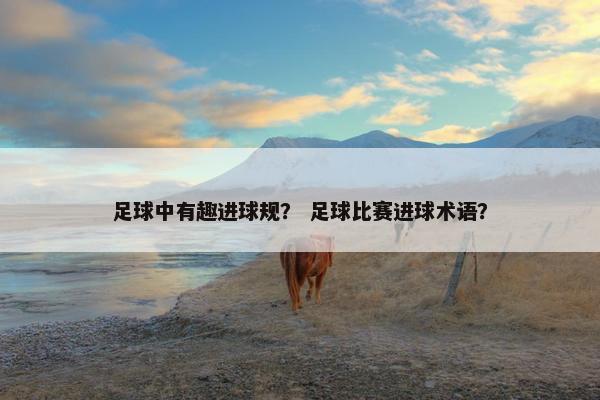 足球中有趣进球规？ 足球比赛进球术语？