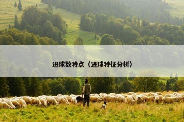 进球数特点（进球特征分析）