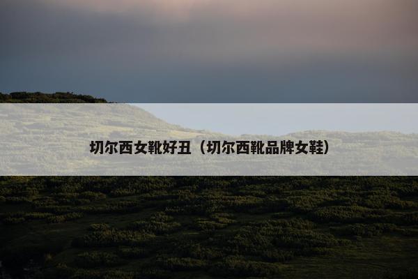 切尔西女靴好丑（切尔西靴品牌女鞋）