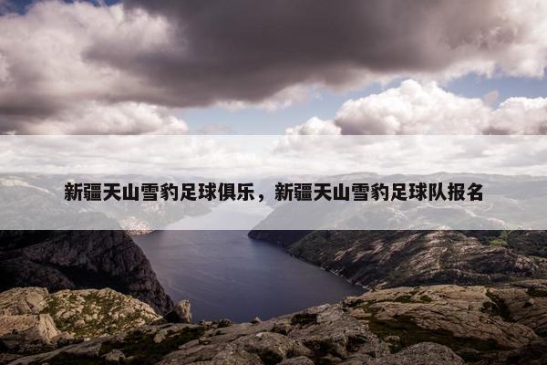 新疆天山雪豹足球俱乐，新疆天山雪豹足球队报名