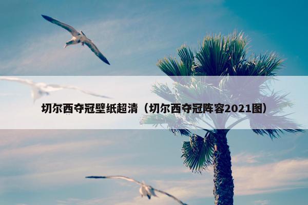 切尔西夺冠壁纸超清（切尔西夺冠阵容2021图）
