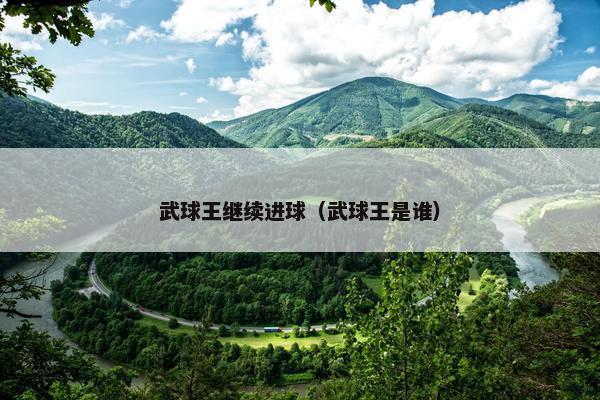 武球王继续进球（武球王是谁）
