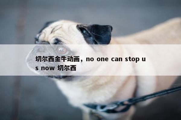 切尔西金牛动画，no one can stop us now 切尔西