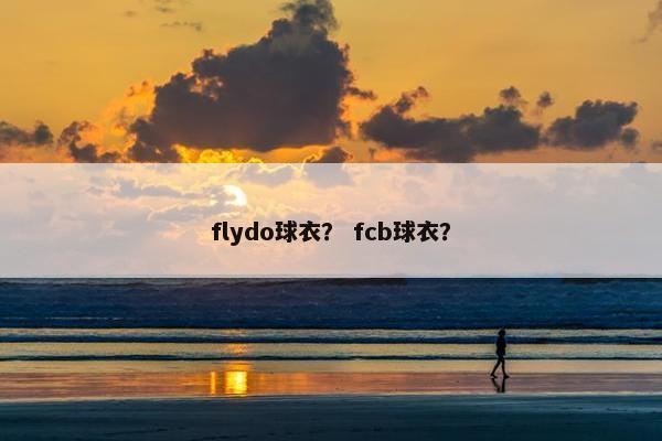 flydo球衣？ fcb球衣？