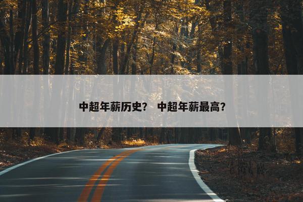 中超年薪历史？ 中超年薪最高？