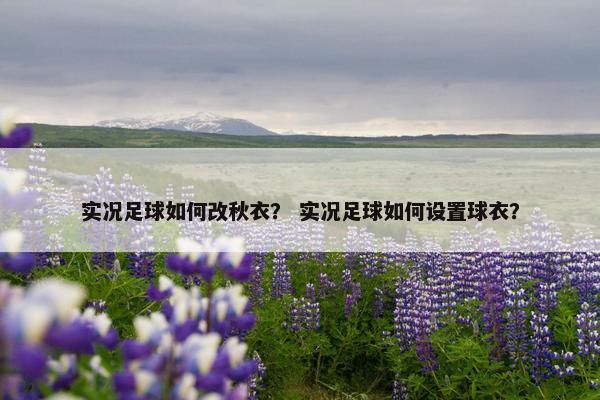 实况足球如何改秋衣？ 实况足球如何设置球衣？