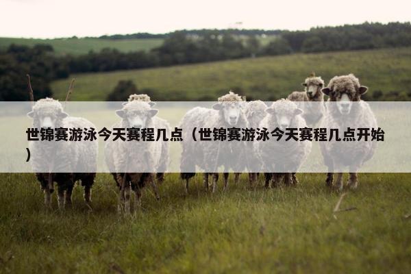 世锦赛游泳今天赛程几点（世锦赛游泳今天赛程几点开始）